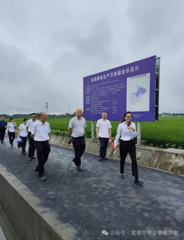 常德市康都物業(yè)服務有限公司,常德保安服務公司,保潔服務,墻外高空清洗服務